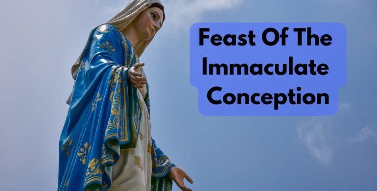  Feast Of The Immaculate Conception