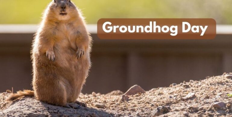  Groundhog Day
