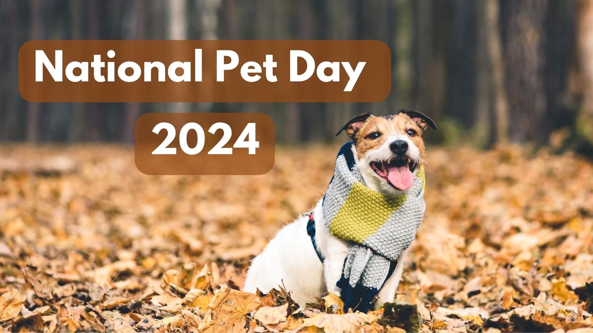 When Is National Pet Day Observed In 2024?