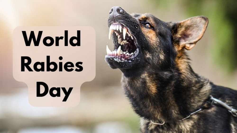 World Rabies Day
