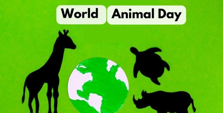  World Animal Day