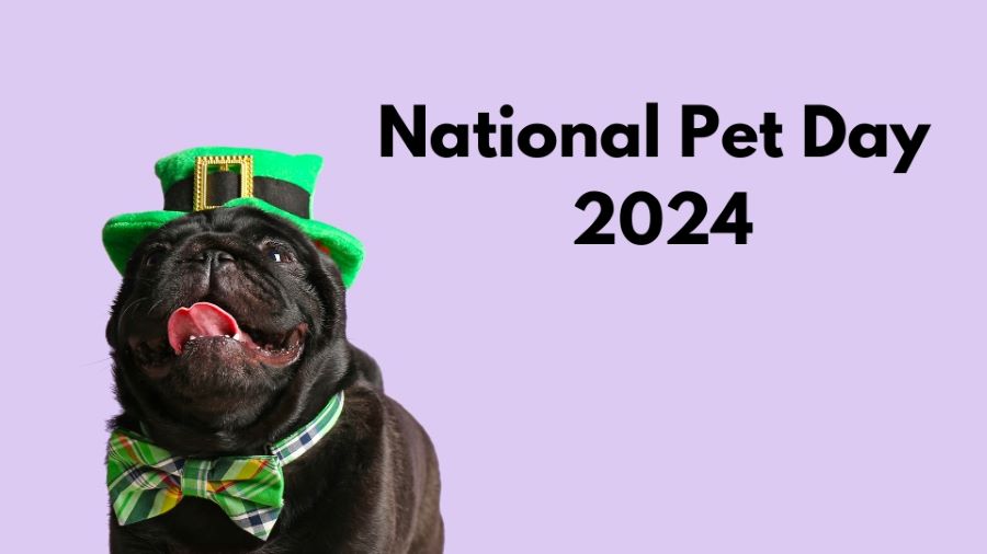 National Pet Day 2024
